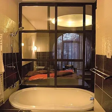 Decentria Hotel Timisoara